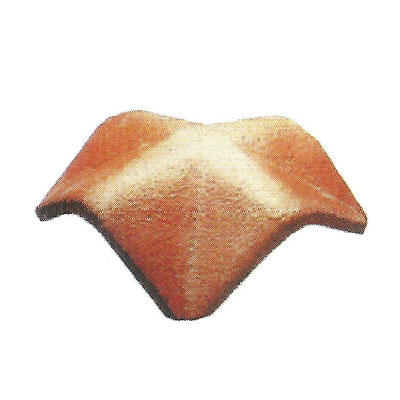 ASC Roofing