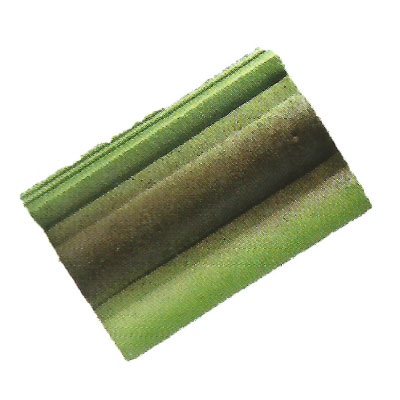 ASC Roofing