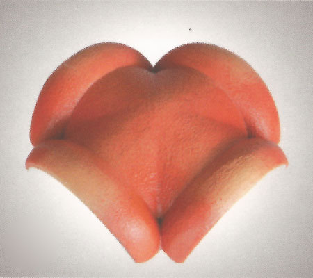 Lama Roman Roof Tiles